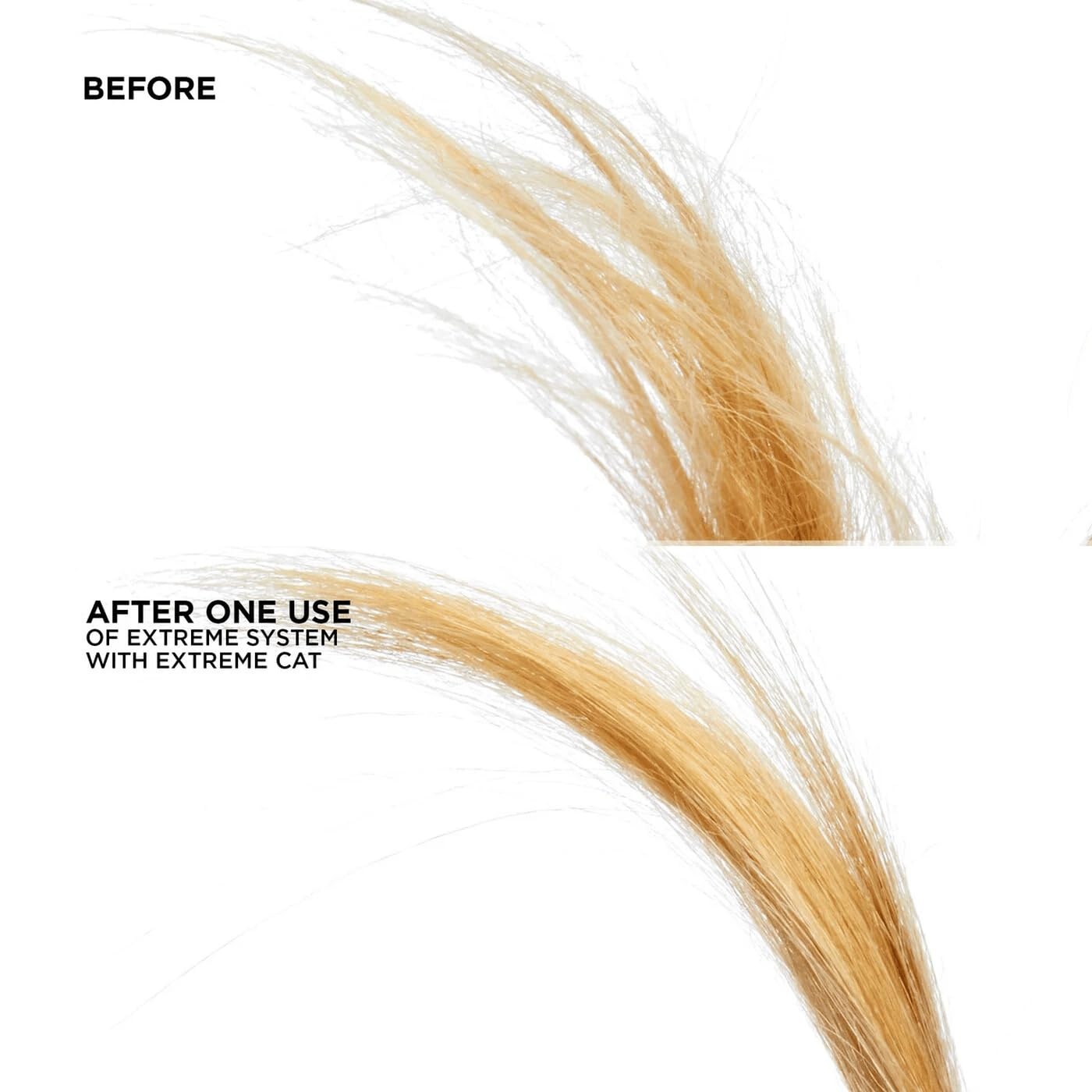 image:imageRedken Extreme CAT AntiDamage Protein Reconstructing Treatment For Distressed Hair Strengthens amp Adds Shine With Ceramides68 Fl Oz Pack of 1